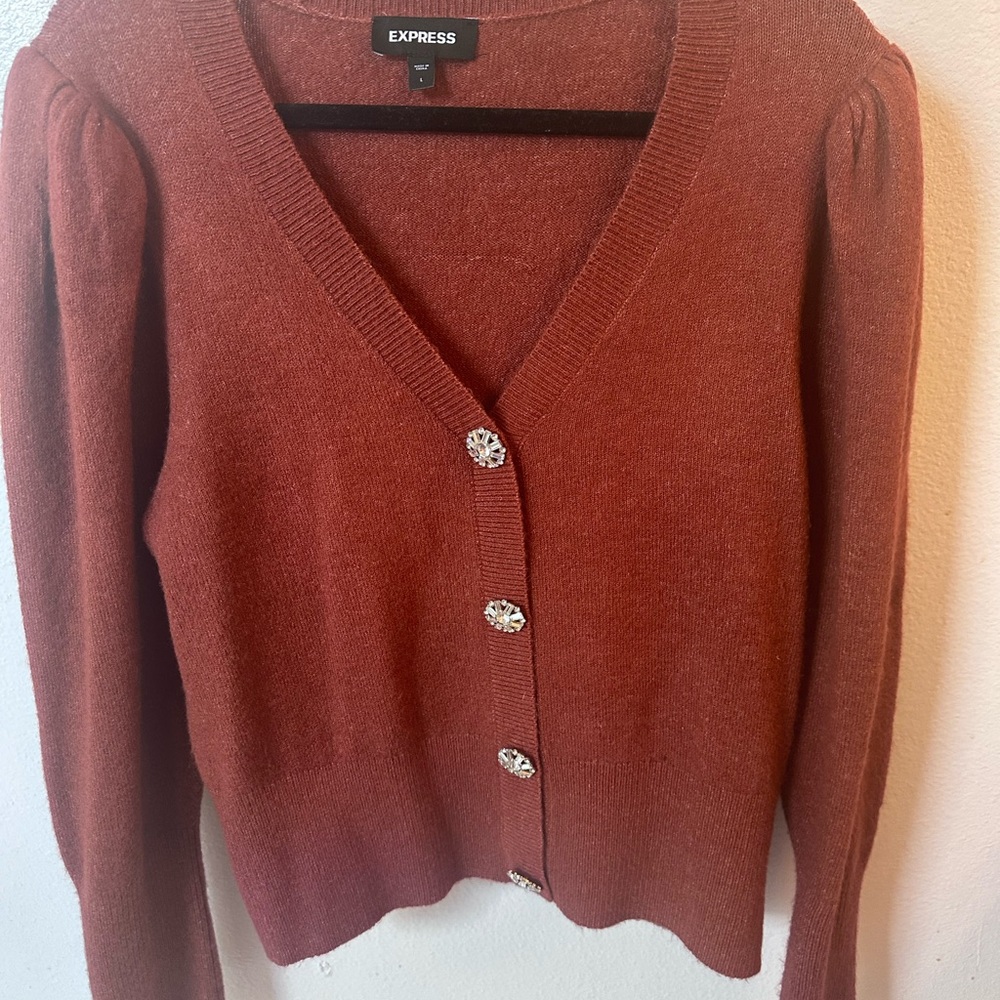Express Women's Cardigan in Warm Rust
